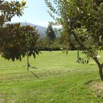 jardin_6
